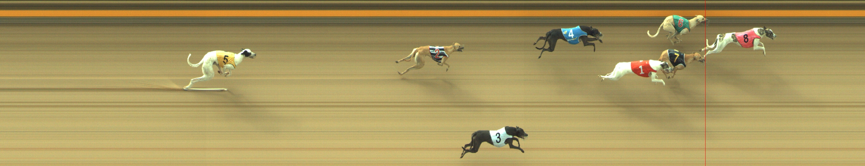 Photo finish for Geelong Race 1
