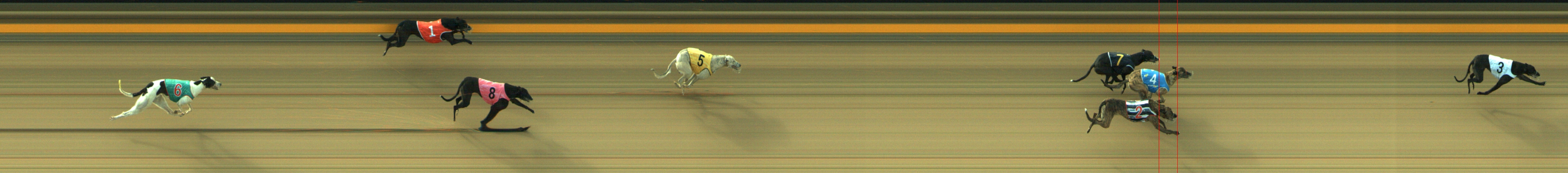 Photo finish for Geelong Race 2