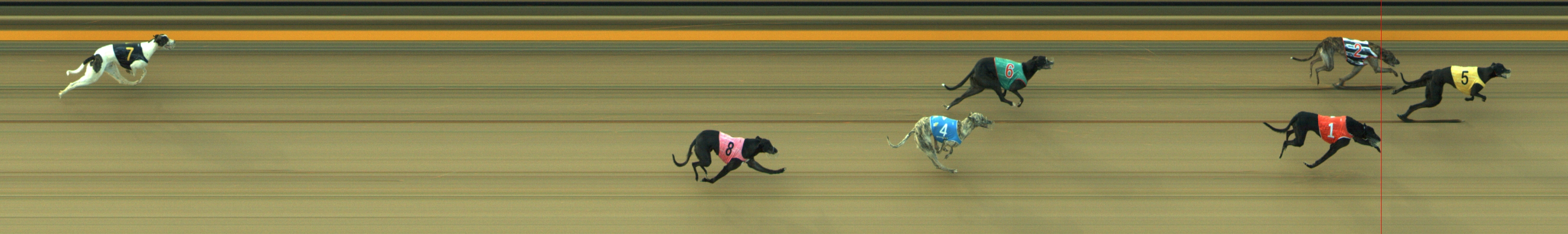 Photo finish for Geelong Race 3