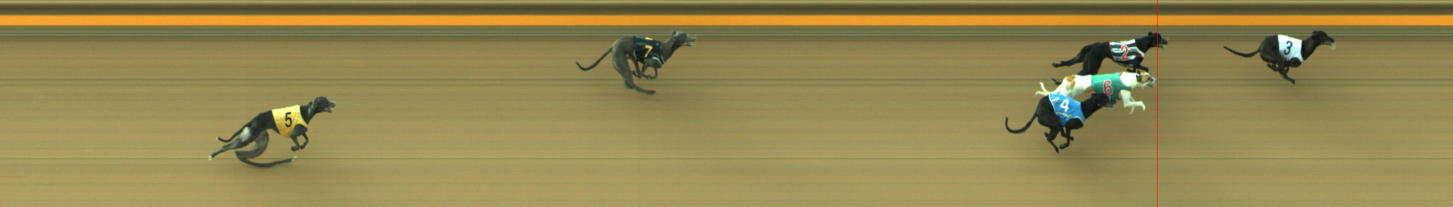 Photo finish for Geelong Race 4