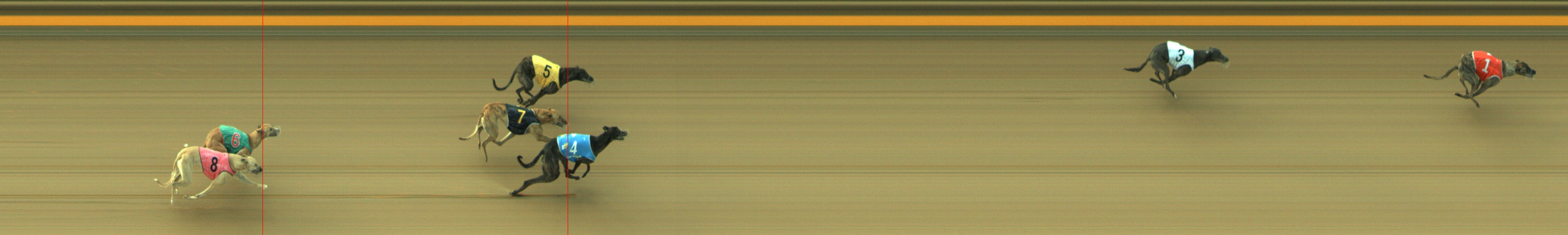 Photo finish for Geelong Race 5