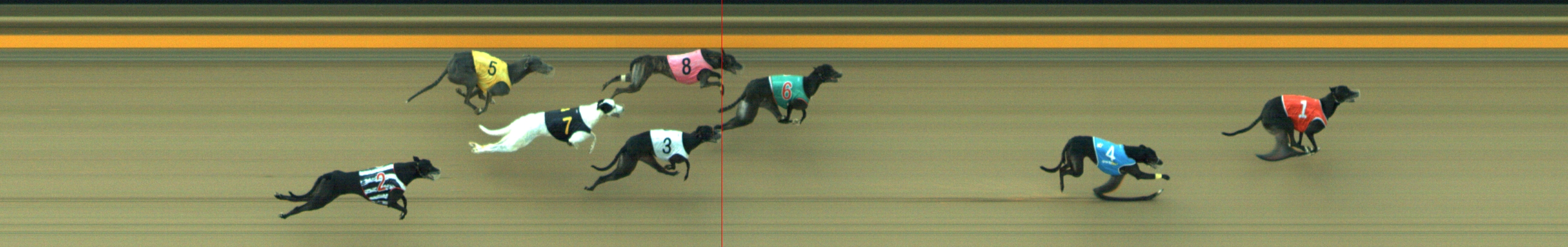 Photo finish for Geelong Race 6
