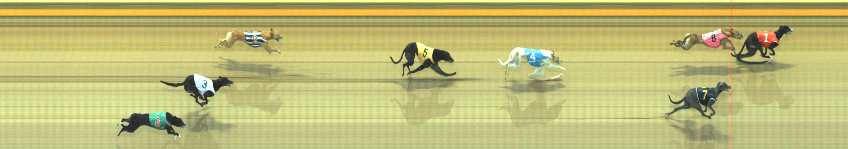 Photo finish for Geelong Race 7