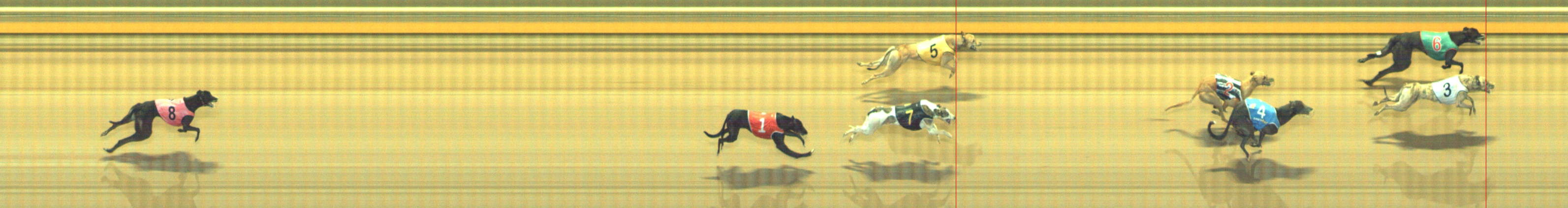 Photo finish for Geelong Race 8