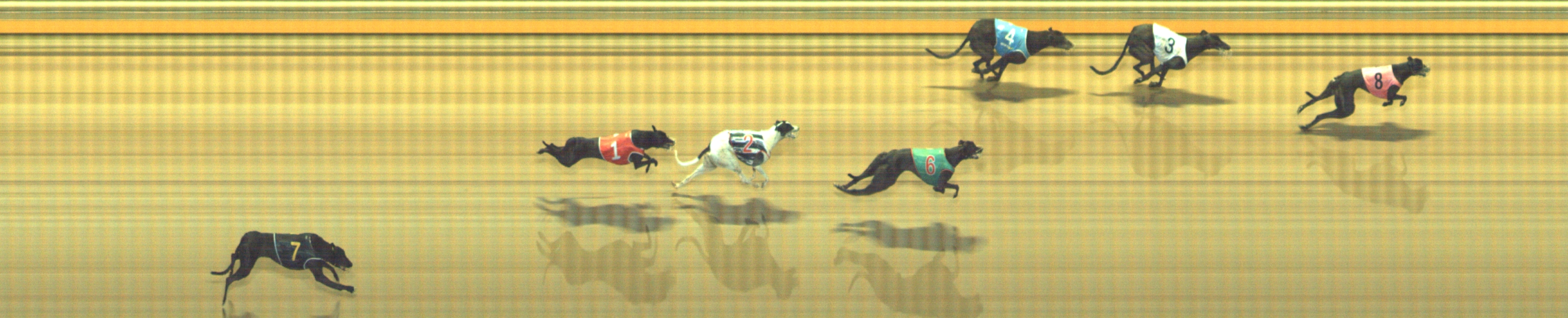 Photo finish for Geelong Race 9