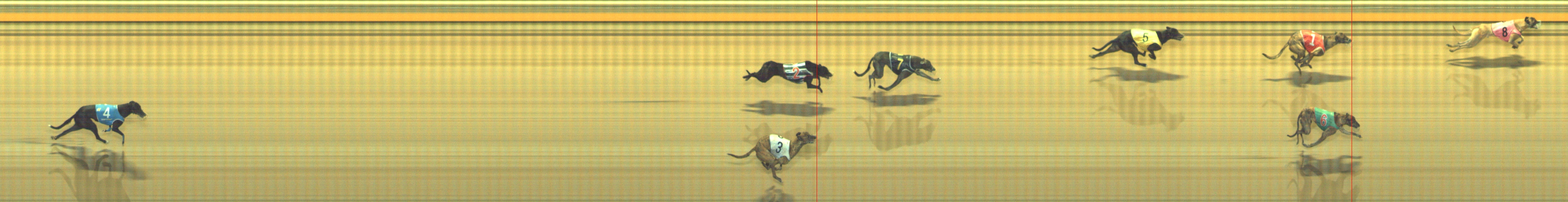 Photo finish for Geelong Race 10