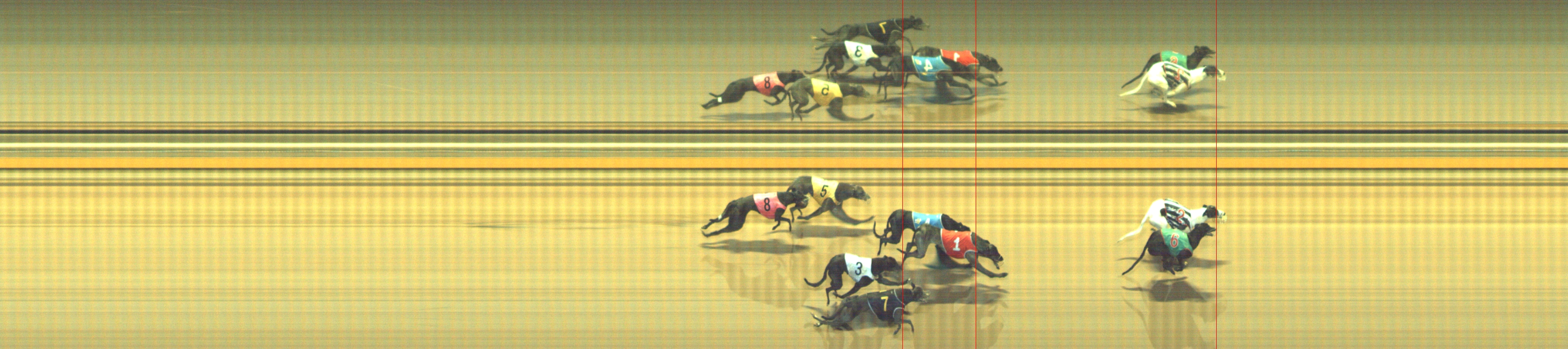 Photo finish for Geelong Race 11