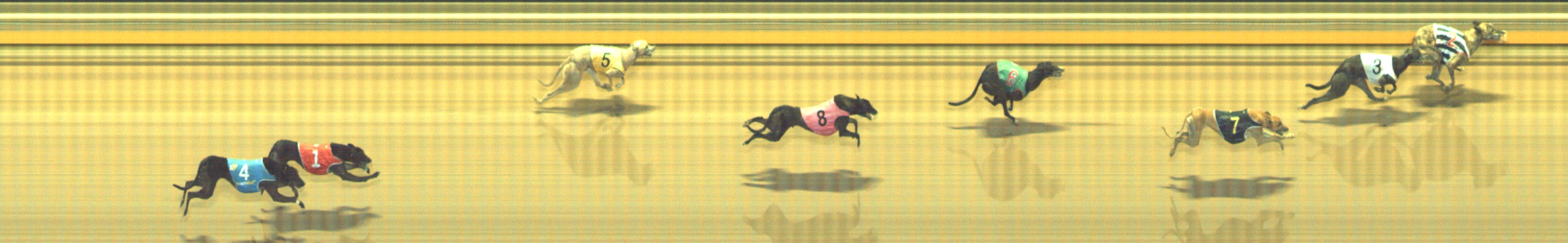 Photo finish for Geelong Race 12