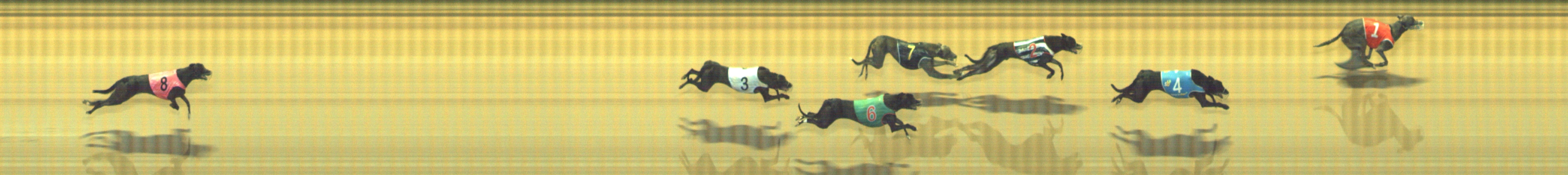Photo finish for Geelong Race 2
