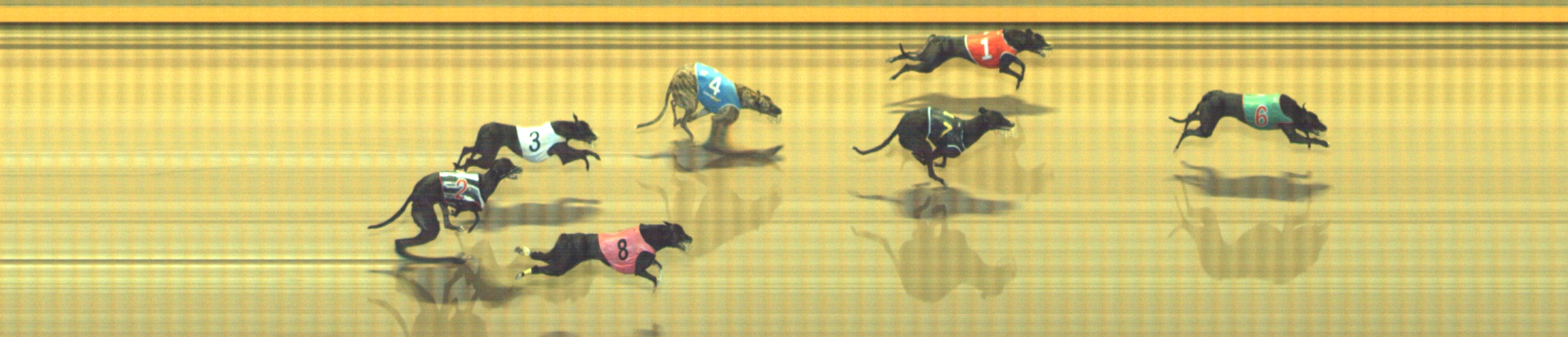 Photo finish for Geelong Race 4