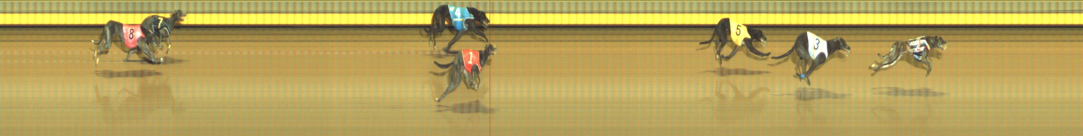 Photo finish for Geelong Race 5