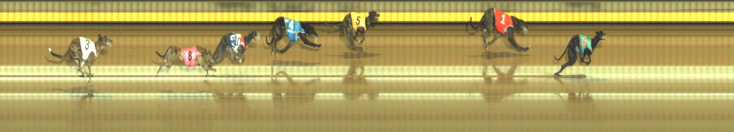Photo finish for Geelong Race 6