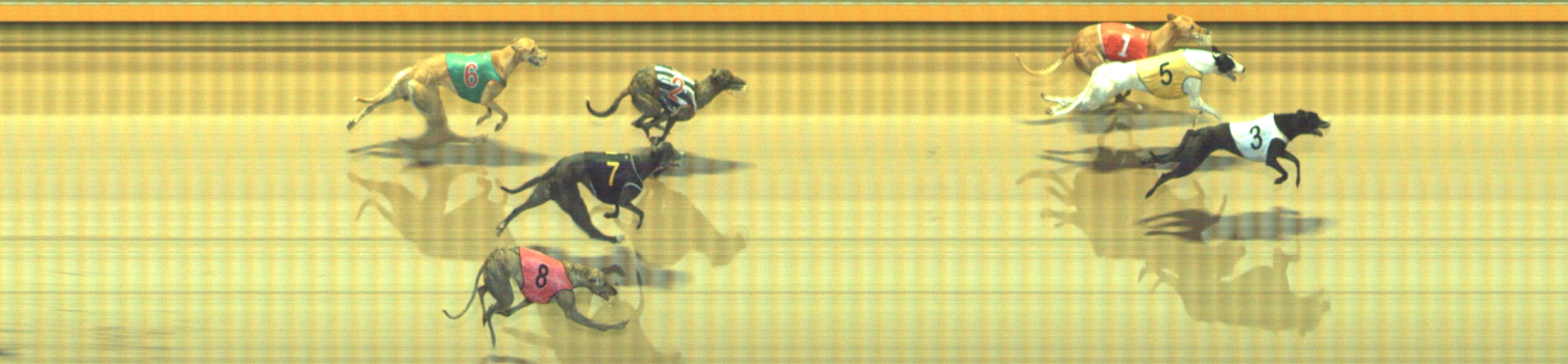 Photo finish for Geelong Race 7