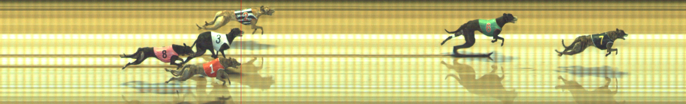 Photo finish for Geelong Race 8