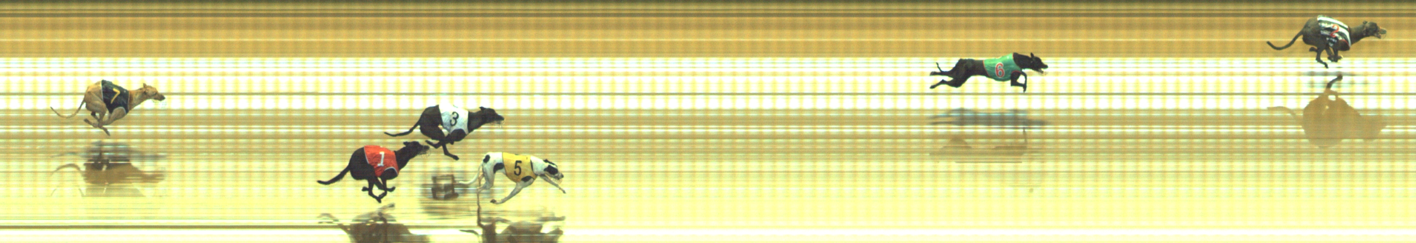 Photo finish for Geelong Race 9