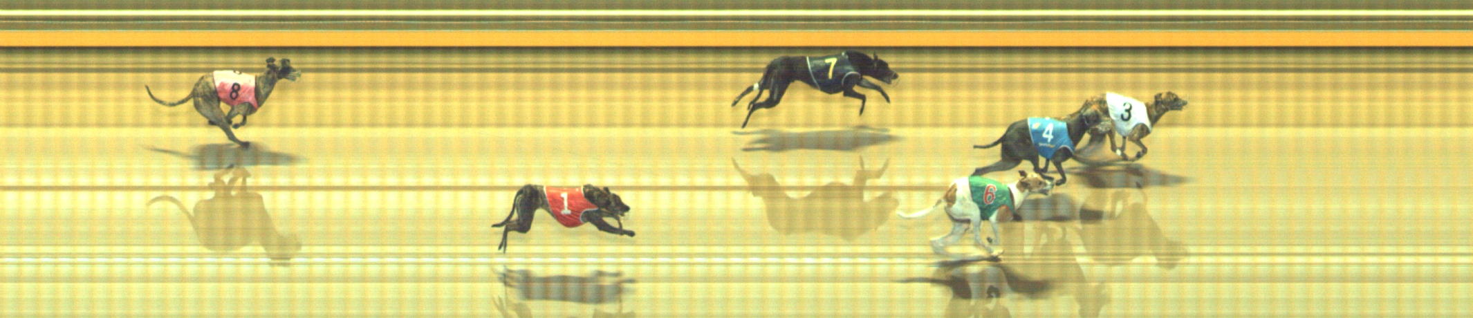 Photo finish for Geelong Race 11