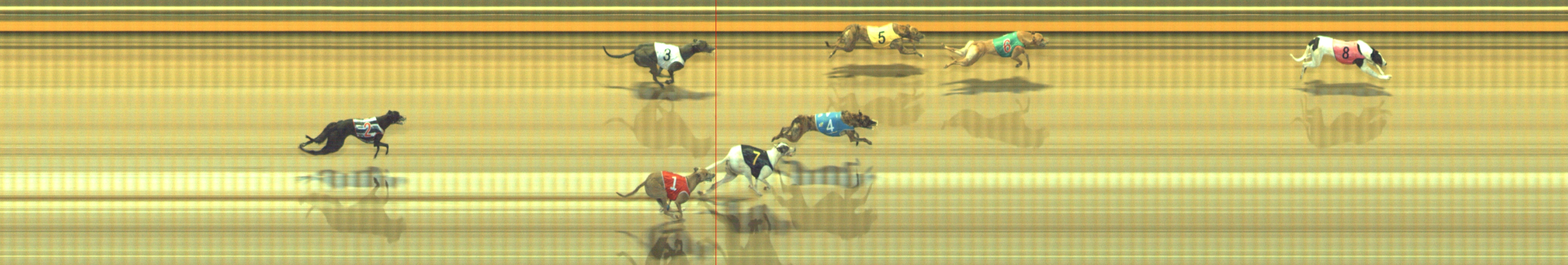 Photo finish for Geelong Race 12