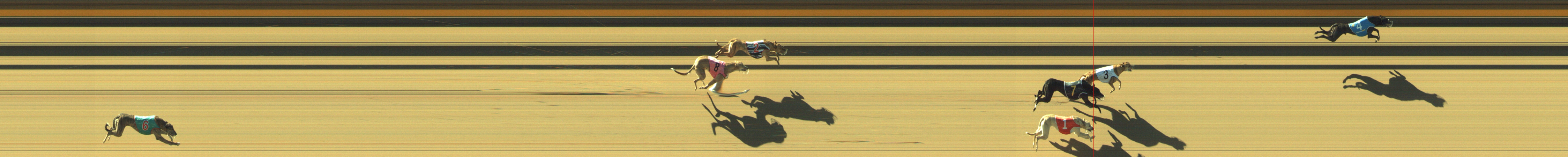 Photo finish for Geelong Race 1