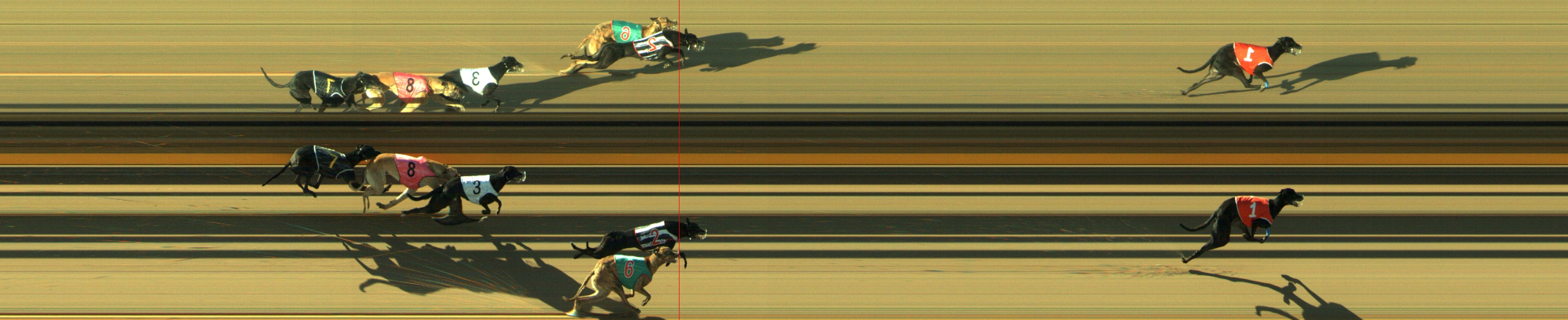 Photo finish for Geelong Race 2
