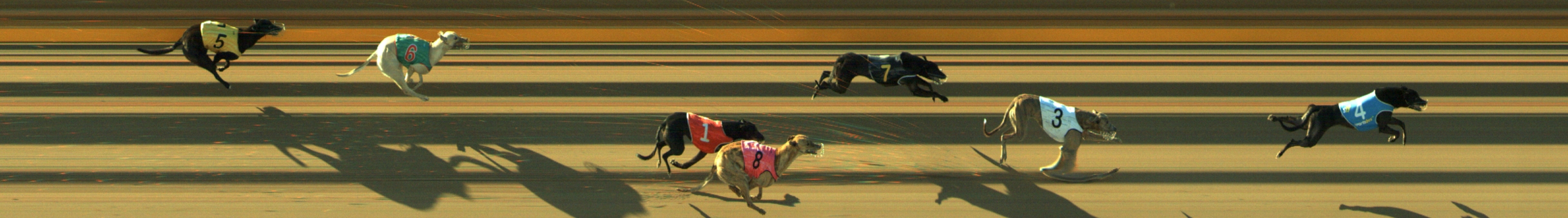 Photo finish for Geelong Race 4