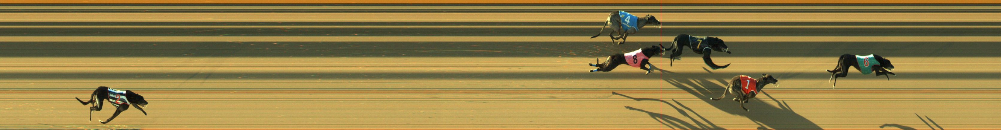 Photo finish for Geelong Race 5