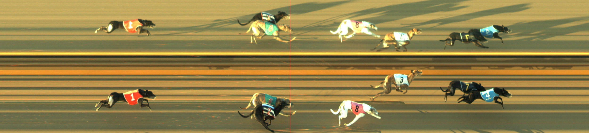 Photo finish for Geelong Race 6