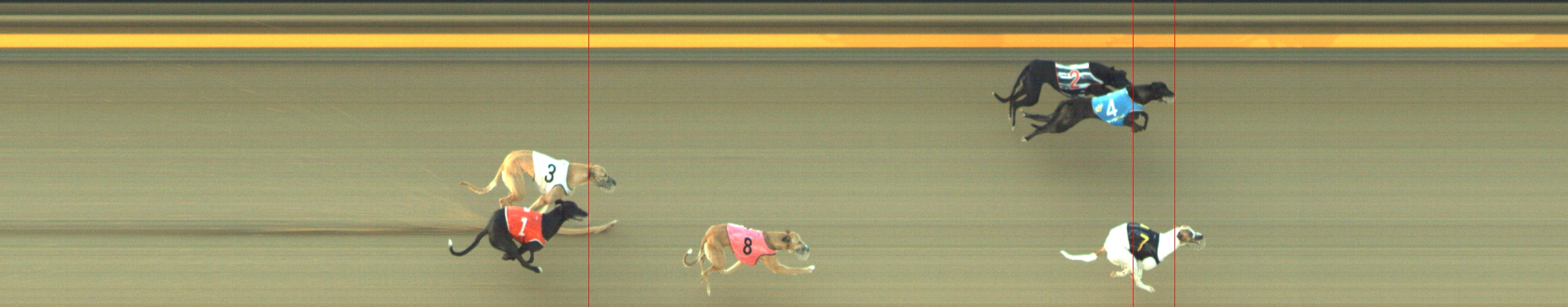 Photo finish for Geelong Race 7