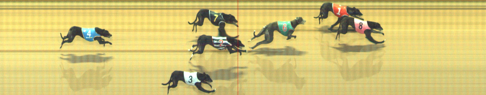 Photo finish for Geelong Race 8