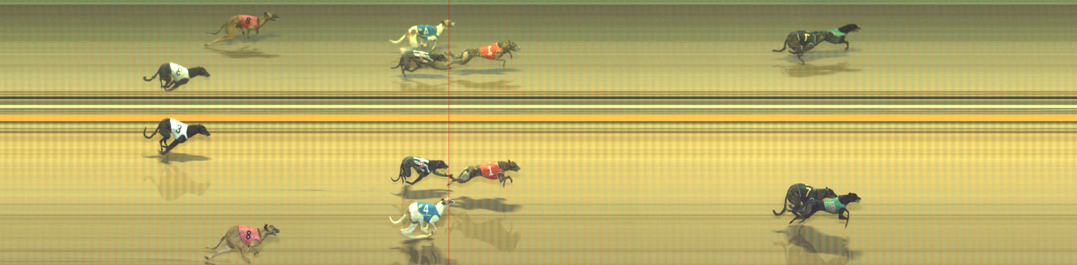 Photo finish for Geelong Race 9