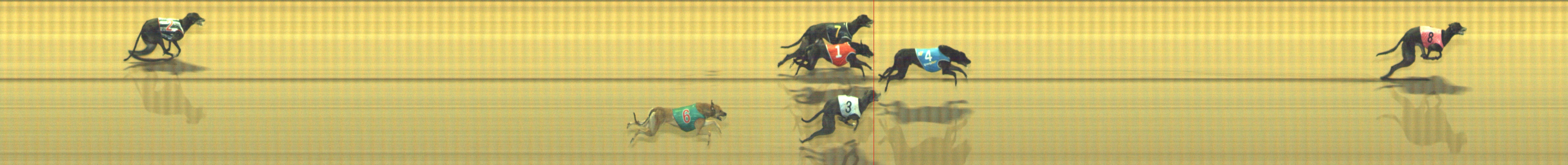 Photo finish for Geelong Race 10