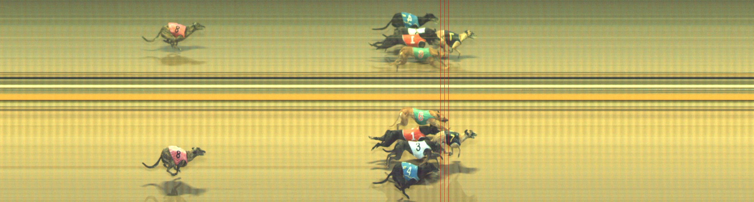 Photo finish for Geelong Race 11