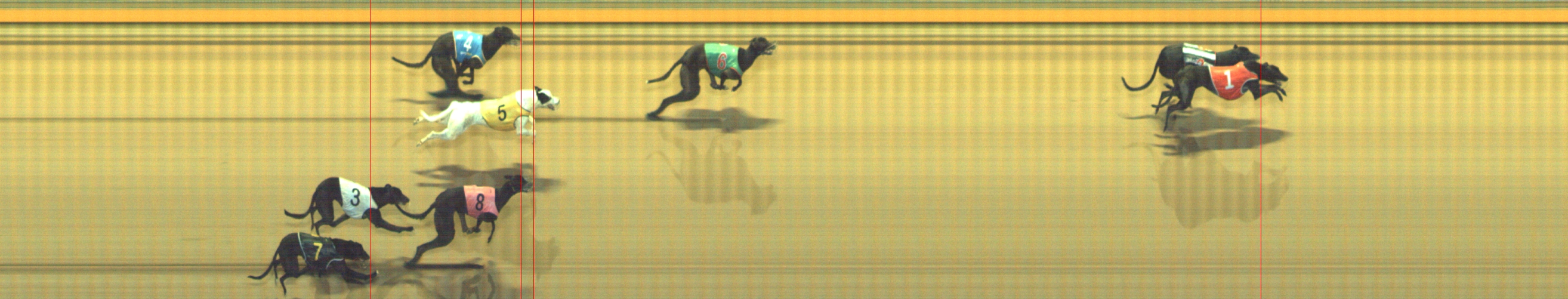 Photo finish for Geelong Race 12