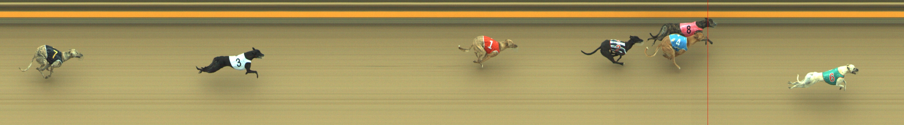 Photo finish for Geelong Race 1