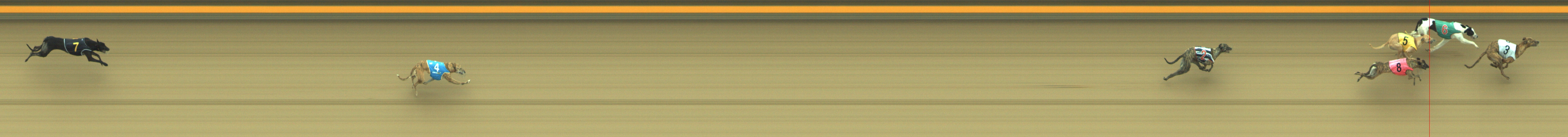 Photo finish for Geelong Race 2