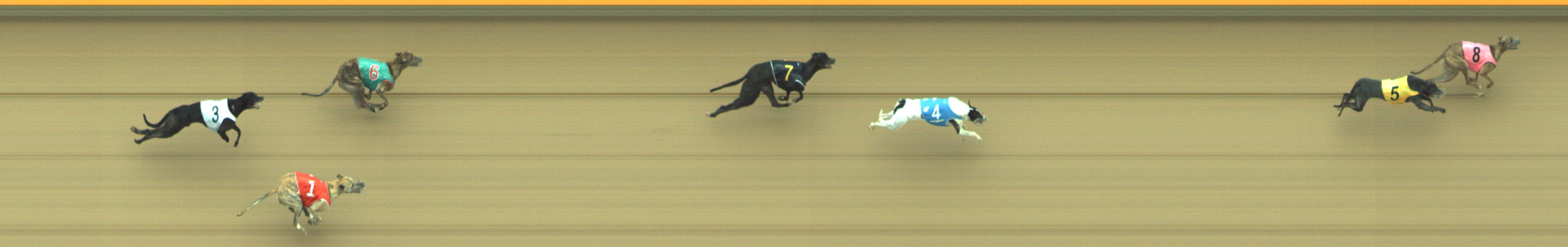 Photo finish for Geelong Race 3