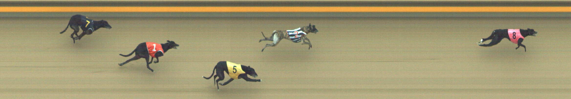 Photo finish for Geelong Race 4