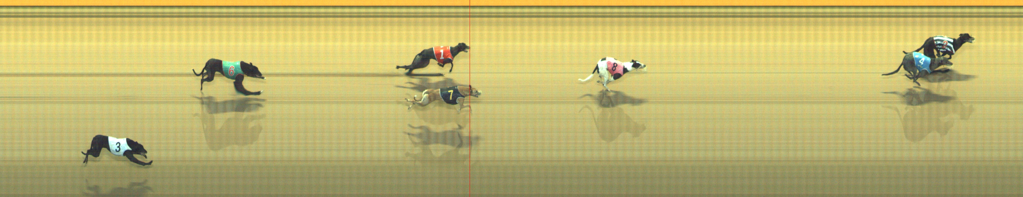 Photo finish for Geelong Race 5