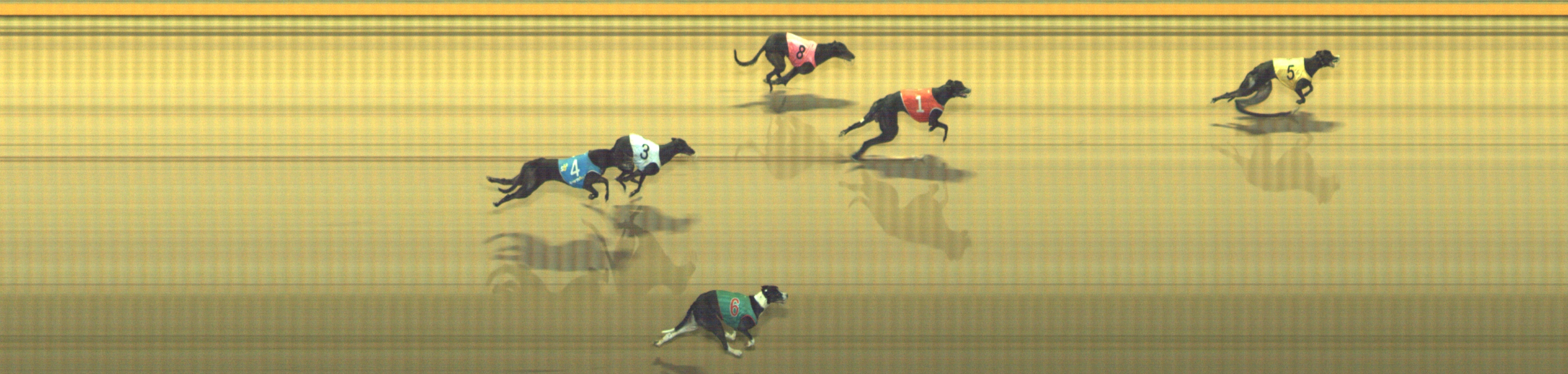 Photo finish for Geelong Race 6