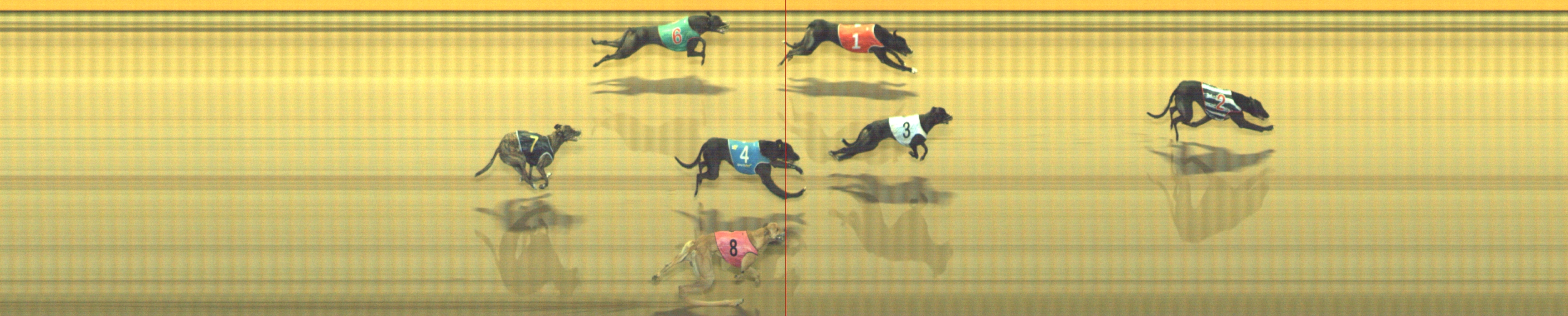 Photo finish for Geelong Race 7