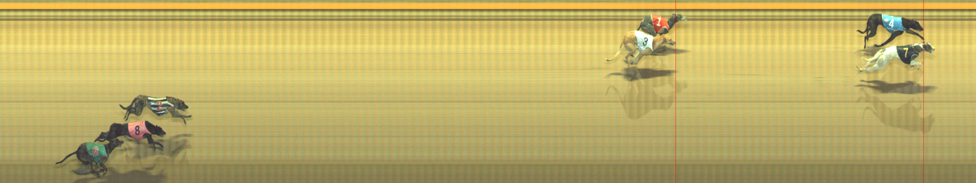 Photo finish for Geelong Race 8