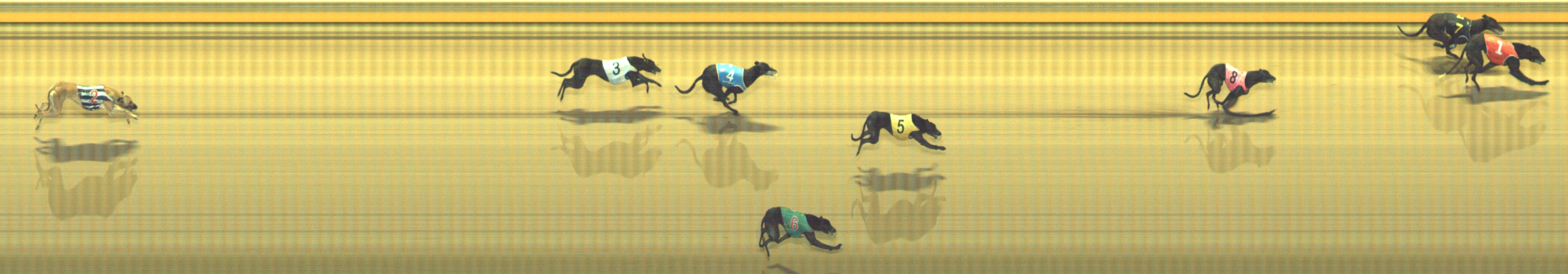 Photo finish for Geelong Race 9