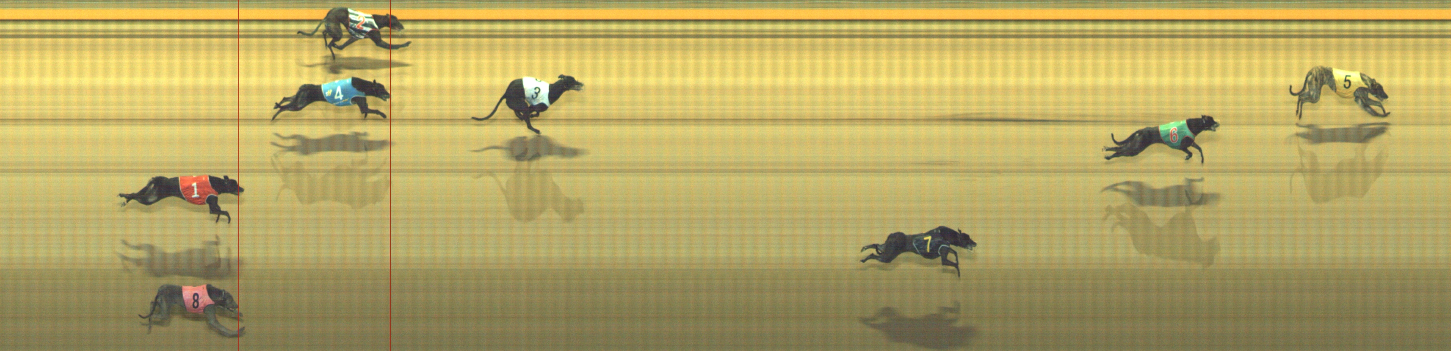 Photo finish for Geelong Race 10