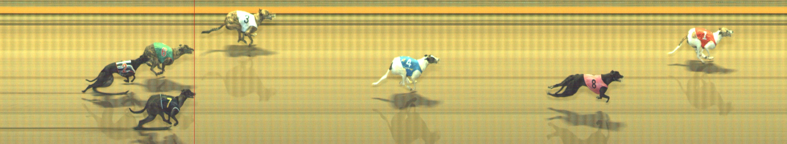 Photo finish for Geelong Race 11