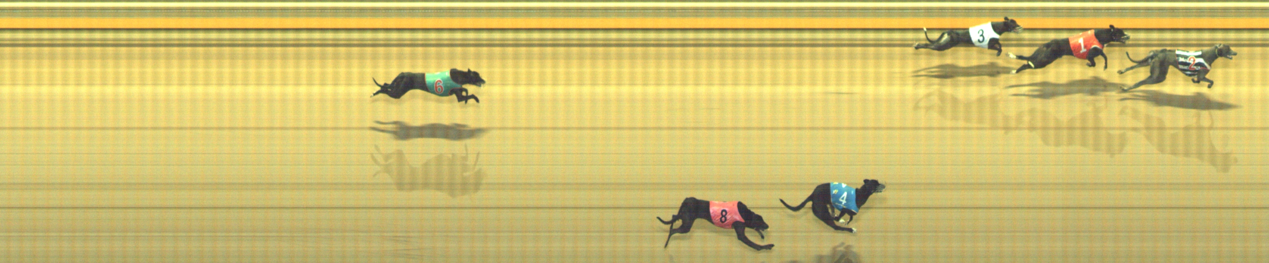 Photo finish for Geelong Race 12