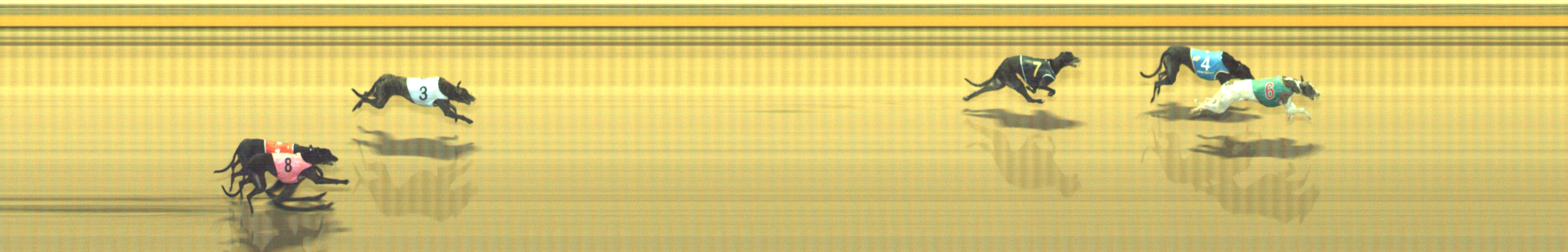 Photo finish for Geelong Race 1