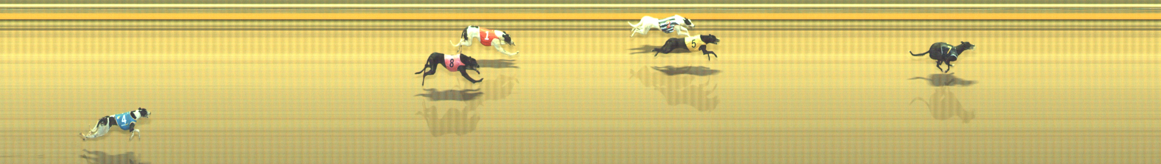 Photo finish for Geelong Race 3