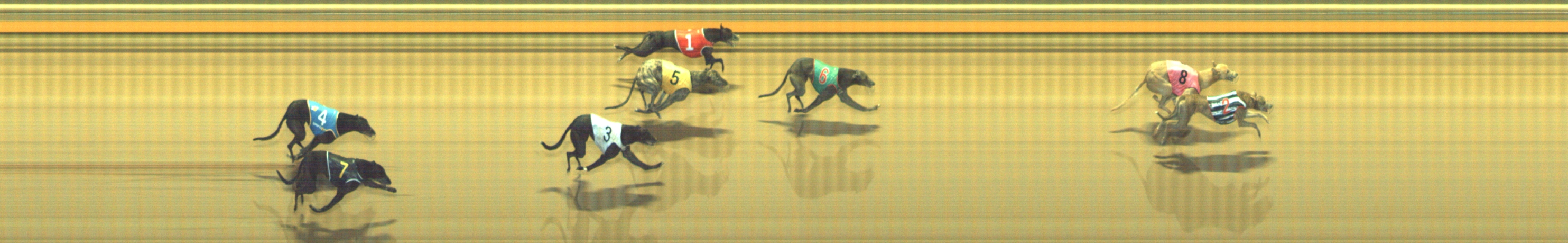 Photo finish for Geelong Race 5