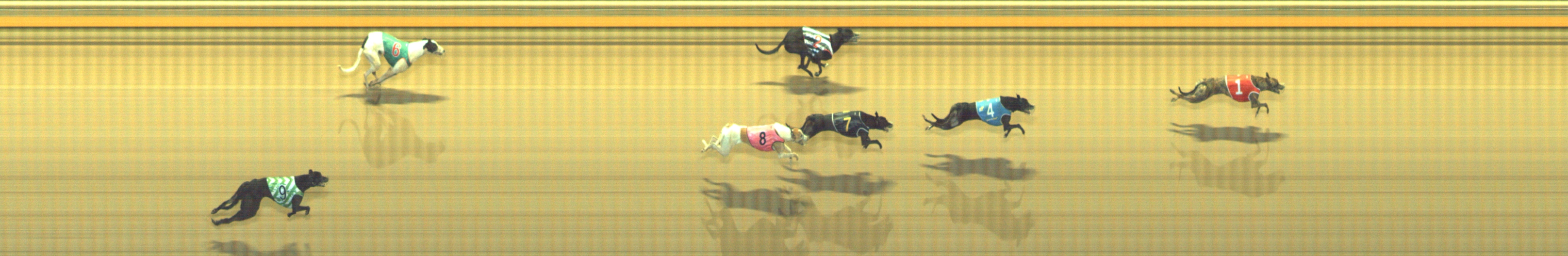 Photo finish for Geelong Race 6