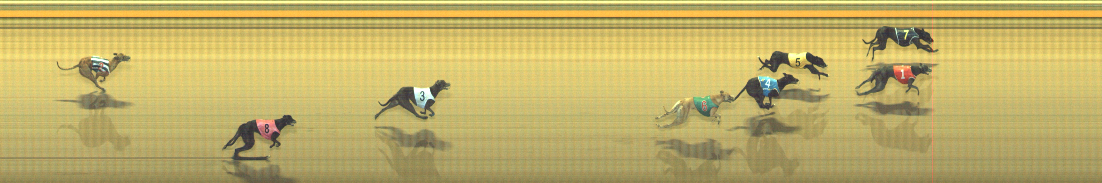 Photo finish for Geelong Race 7
