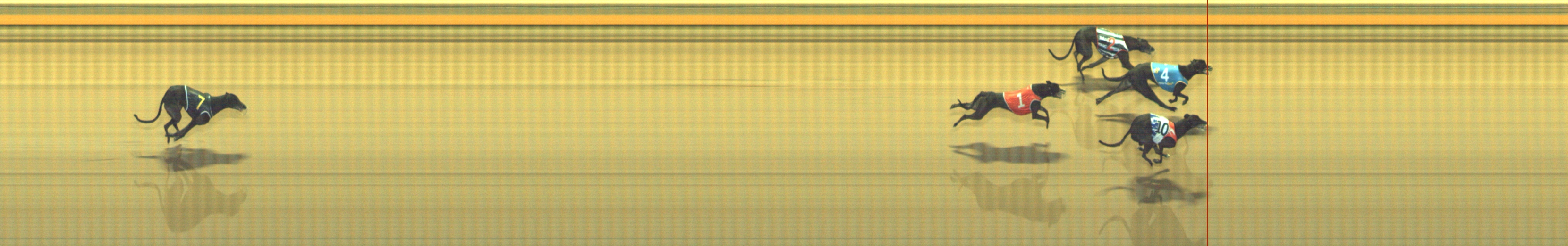 Photo finish for Geelong Race 8